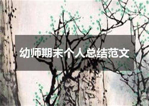 幼师期末个人总结范文
