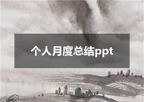 个人月度总结ppt