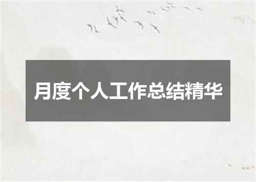月度个人工作总结精华