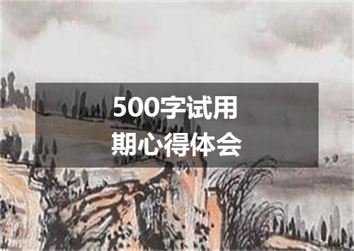 500字试用期心得体会