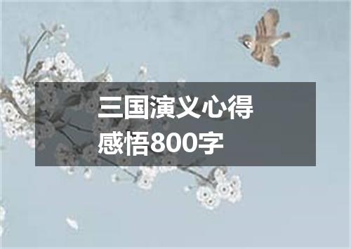 三国演义心得感悟800字