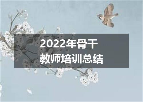 2022年骨干教师培训总结