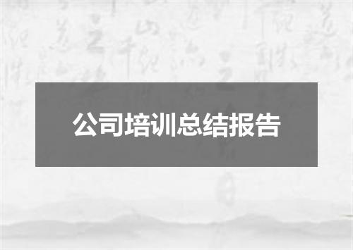公司培训总结报告