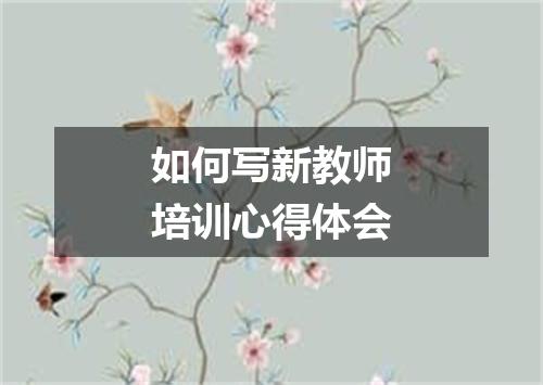如何写新教师培训心得体会