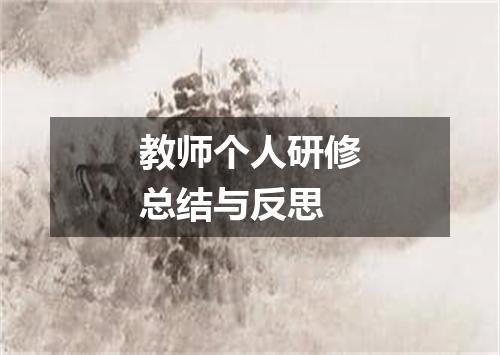 教师个人研修总结与反思
