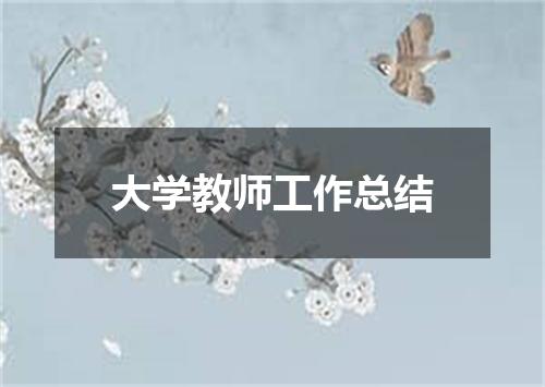 大学教师工作总结