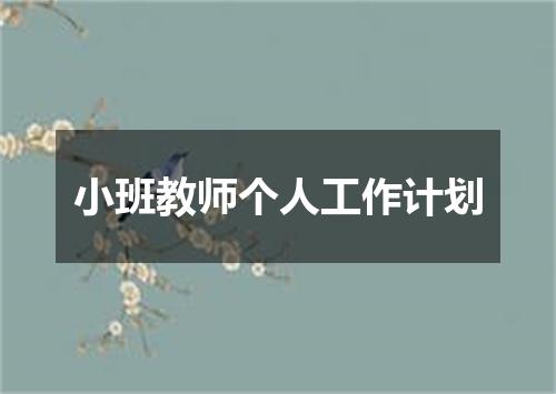 小班教师个人工作计划