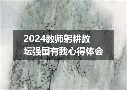 2024教师躬耕教坛强国有我心得体会