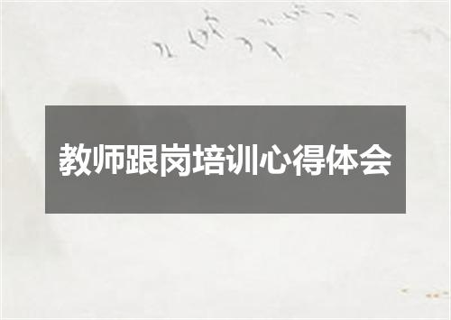 教师跟岗培训心得体会