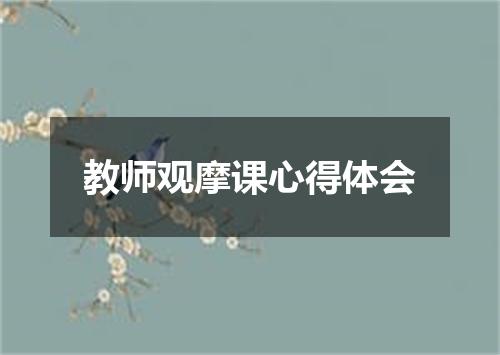 教师观摩课心得体会