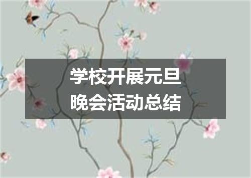 学校开展元旦晚会活动总结