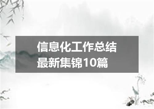信息化工作总结最新集锦10篇