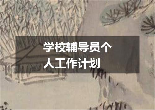 学校辅导员个人工作计划