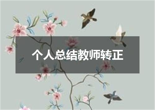 个人总结教师转正