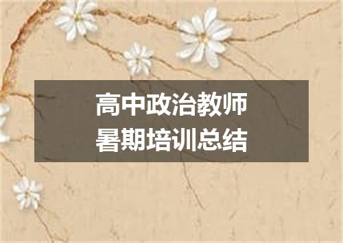 高中政治教师暑期培训总结
