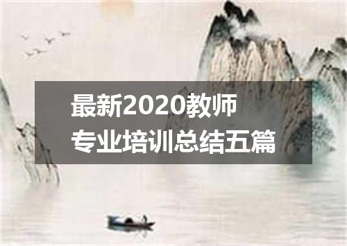 最新2020教师专业培训总结五篇