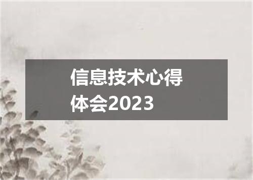 信息技术心得体会2023