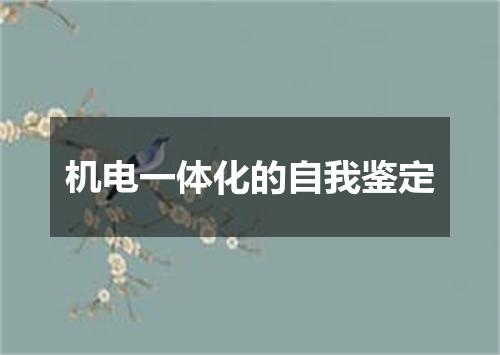 机电一体化的自我鉴定