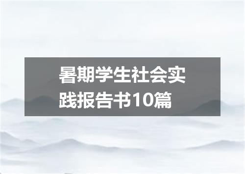 暑期学生社会实践报告书10篇