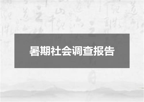 暑期社会调查报告