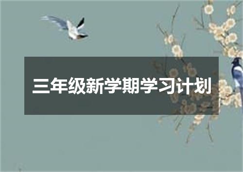 三年级新学期学习计划