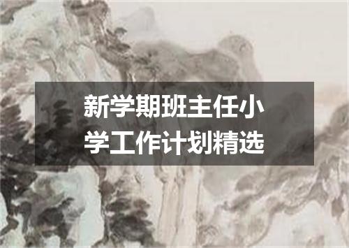 新学期班主任小学工作计划精选