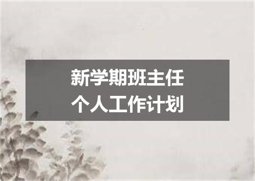 新学期班主任个人工作计划