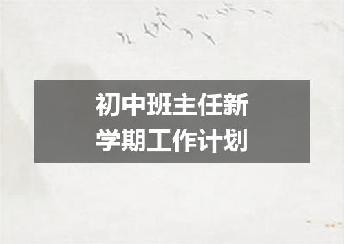 初中班主任新学期工作计划