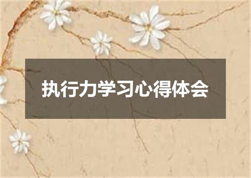 执行力学习心得体会