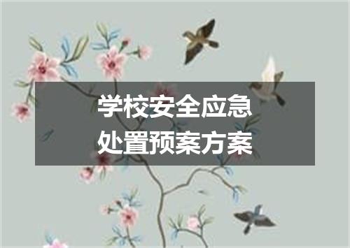 学校安全应急处置预案方案