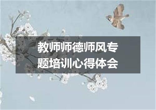 教师师德师风专题培训心得体会