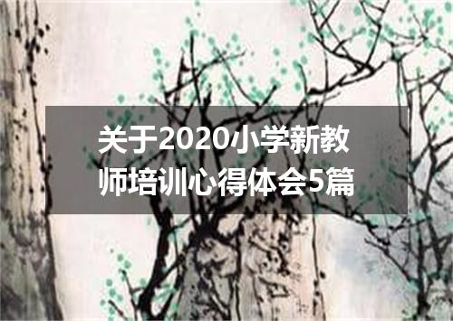 关于2020小学新教师培训心得体会5篇