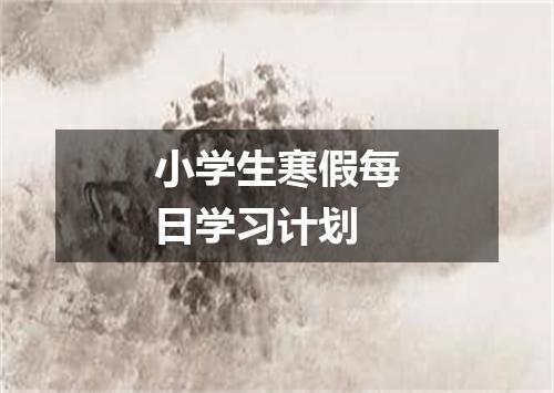 小学生寒假每日学习计划