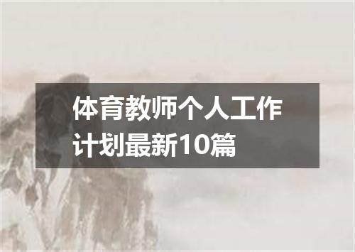 体育教师个人工作计划最新10篇
