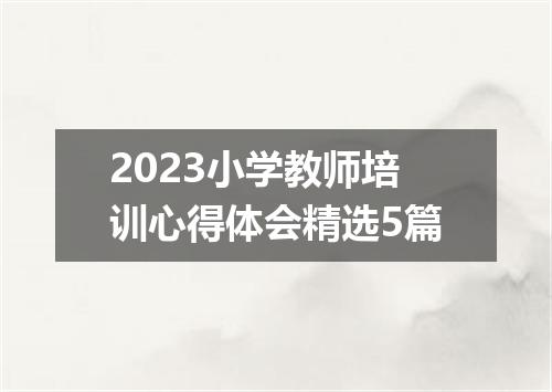 2023小学教师培训心得体会精选5篇