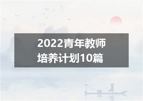 2022青年教师培养计划10篇