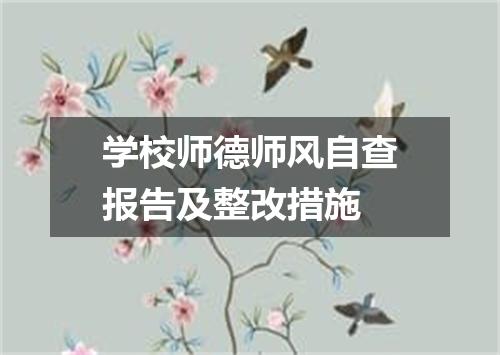 学校师德师风自查报告及整改措施