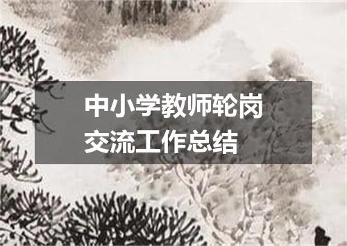 中小学教师轮岗交流工作总结