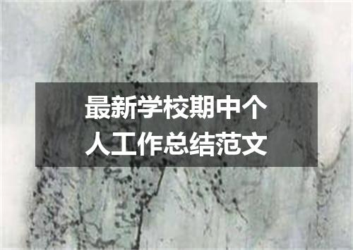 最新学校期中个人工作总结范文