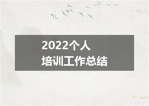 2022个人培训工作总结