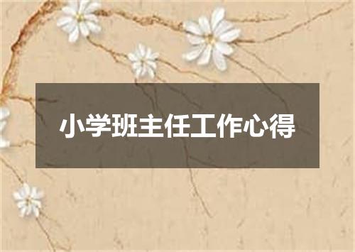 小学班主任工作心得