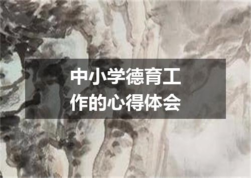 中小学德育工作的心得体会