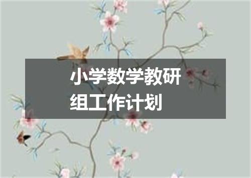 小学数学教研组工作计划