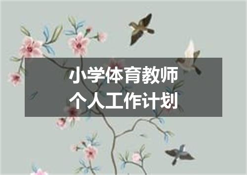 小学体育教师个人工作计划