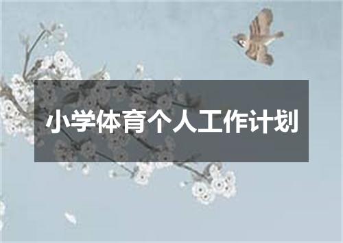 小学体育个人工作计划