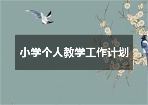 小学个人教学工作计划