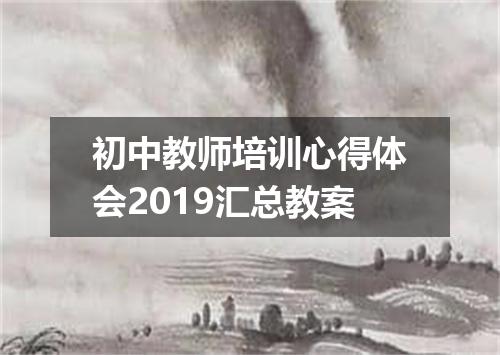 初中教师培训心得体会2019汇总教案