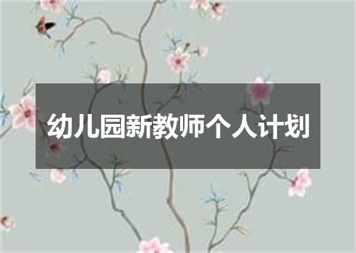 幼儿园新教师个人计划