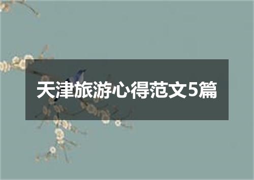 天津旅游心得范文5篇