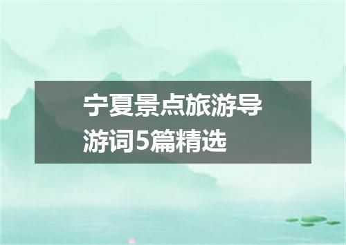 宁夏景点旅游导游词5篇精选